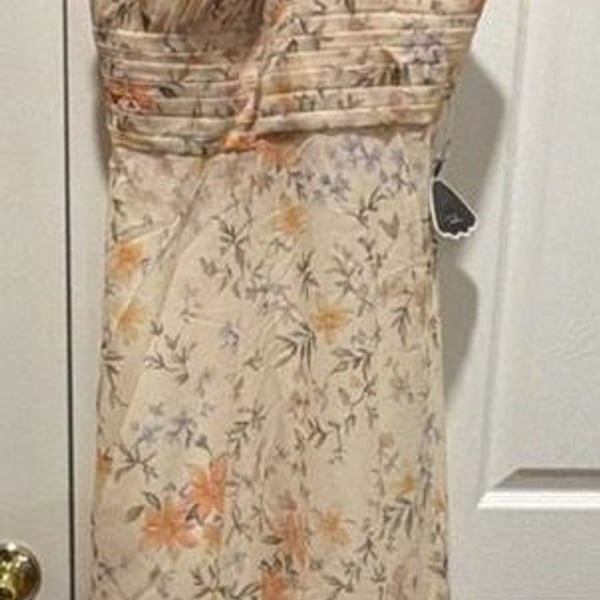 Chiffon Dress Pressed Floral