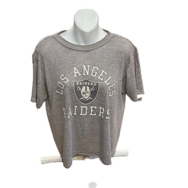 Vintage Rare Champion Los Angeles Raiders T-Shirt Size Large Gray NFL Football Tee made in USA 
