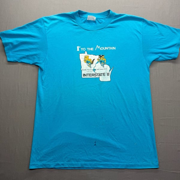 Hanes 1st To The Mountain Interstate 8 Graphic T-Shirt Size L Blue Vintage