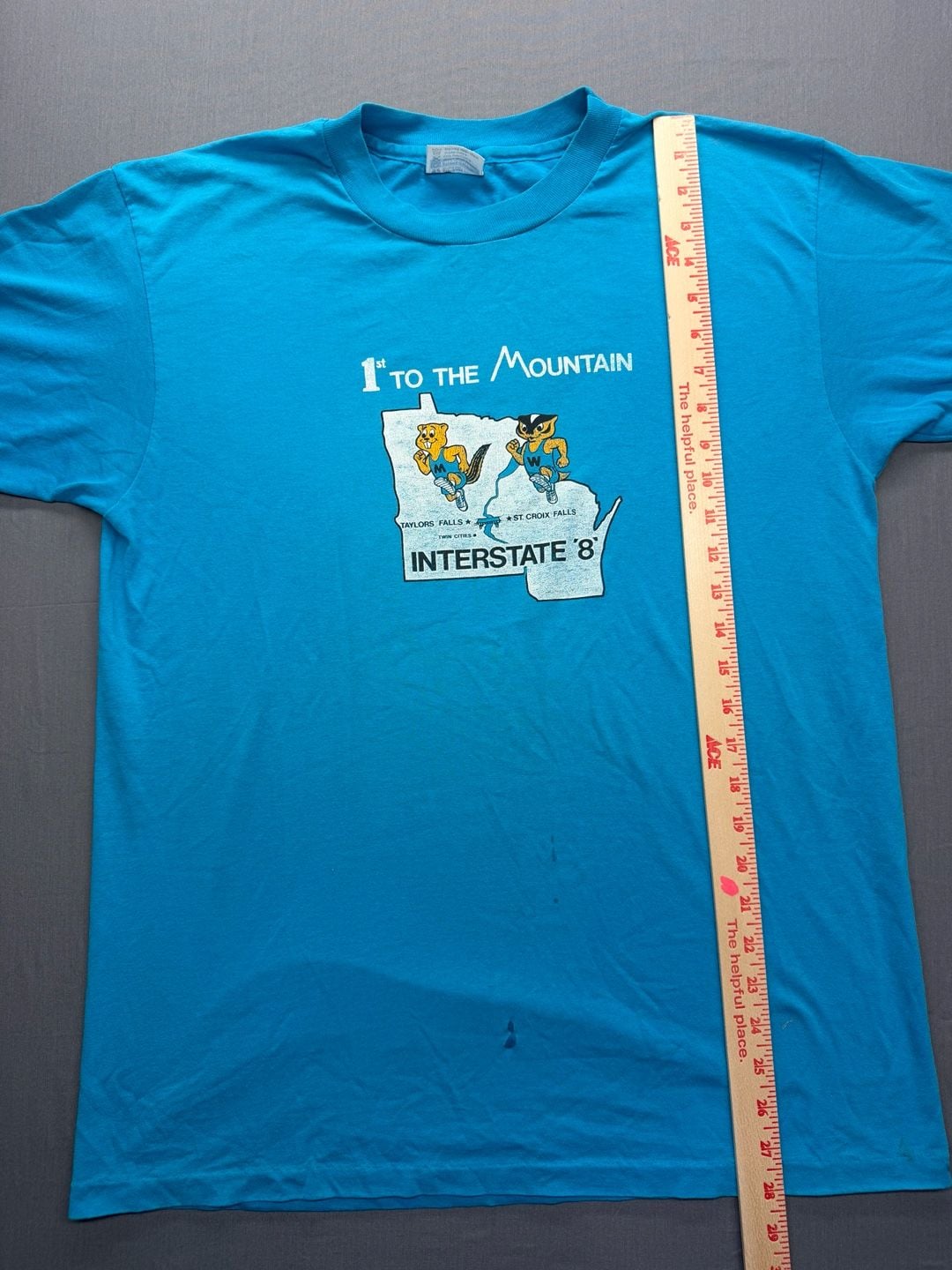 Hanes 1st To The Mountain Interstate 8 Graphic T-Shirt Size L Blue Vintage 7