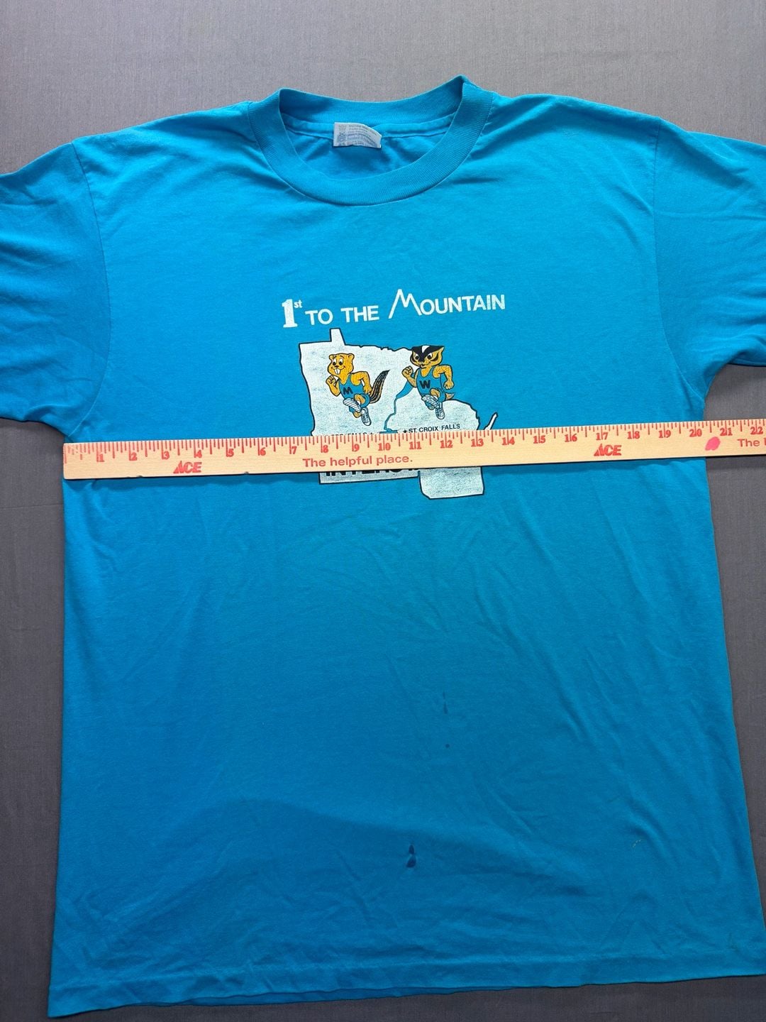 Hanes 1st To The Mountain Interstate 8 Graphic T-Shirt Size L Blue Vintage 8
