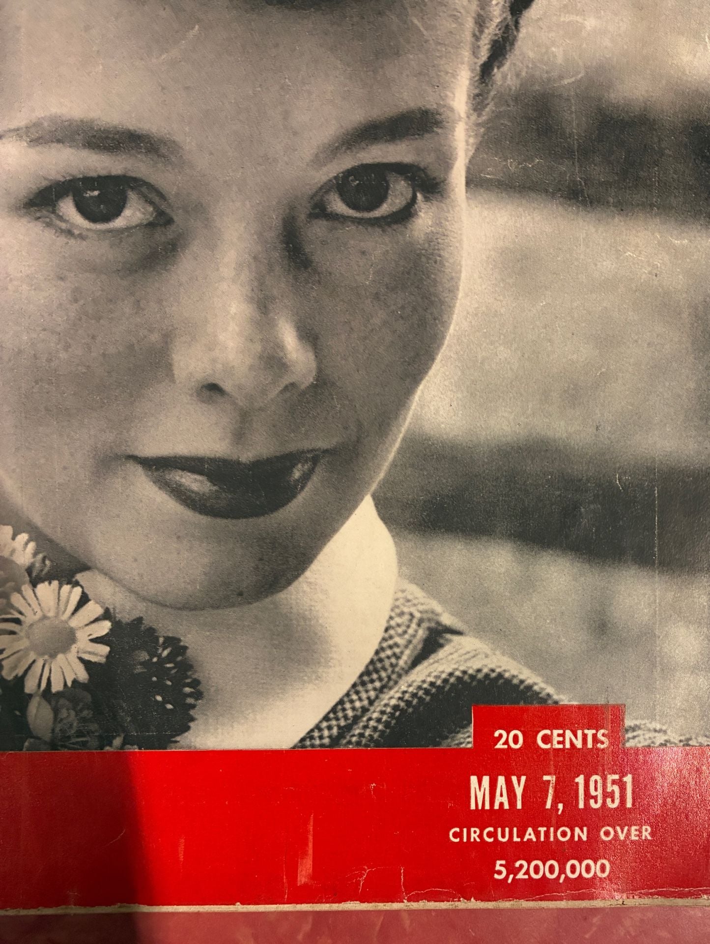 Life Magazine May 7 1951 Phyllis Kirk Cover 4