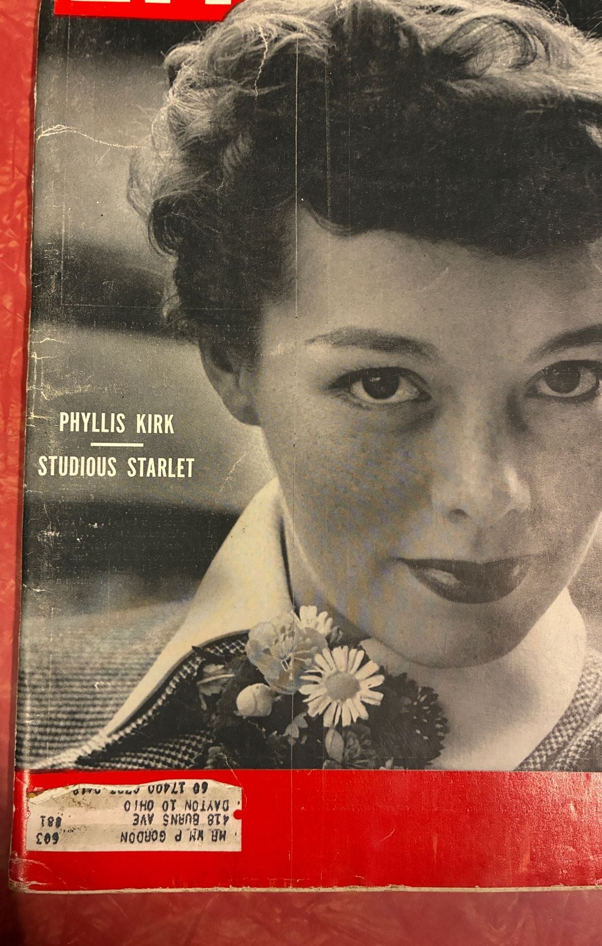 Life Magazine May 7 1951 Phyllis Kirk Cover 3