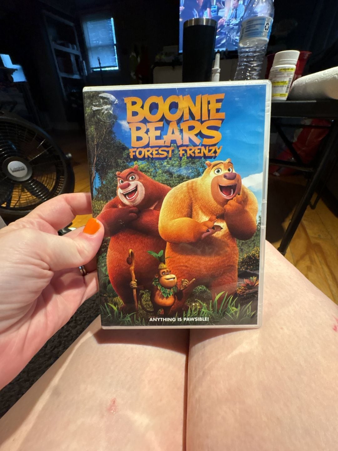 Boonie Bears Forest Frenzy DVD 1