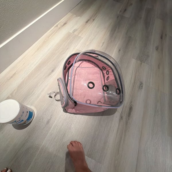 Bnf® Cat Dog Backpack Oxford Cloth Pet Carrier Handbag for Puppy Pink