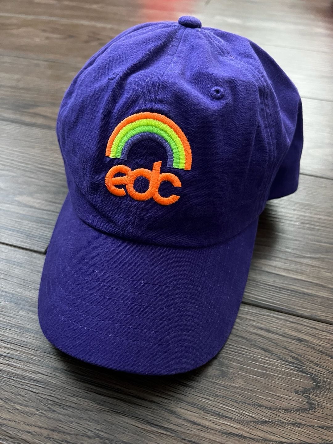 Insomniac EDC Rainbow Embroidered Purple Dad Hat 2