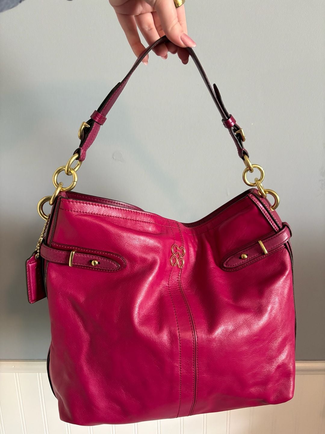 Coach Colette Plum Leather Hobo Bag 16413 2