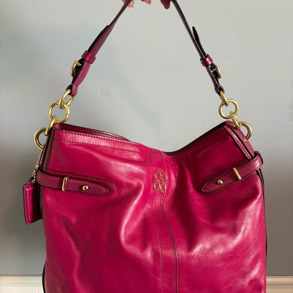Coach Colette Plum Leather Hobo Bag 16413