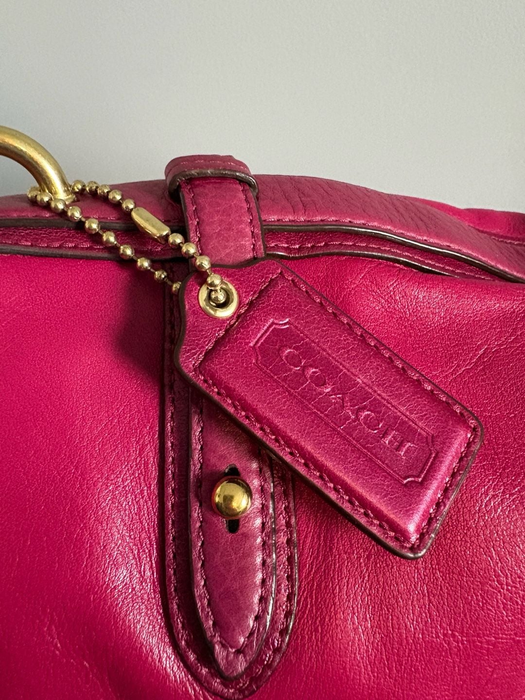 Coach Colette Plum Leather Hobo Bag 16413 7
