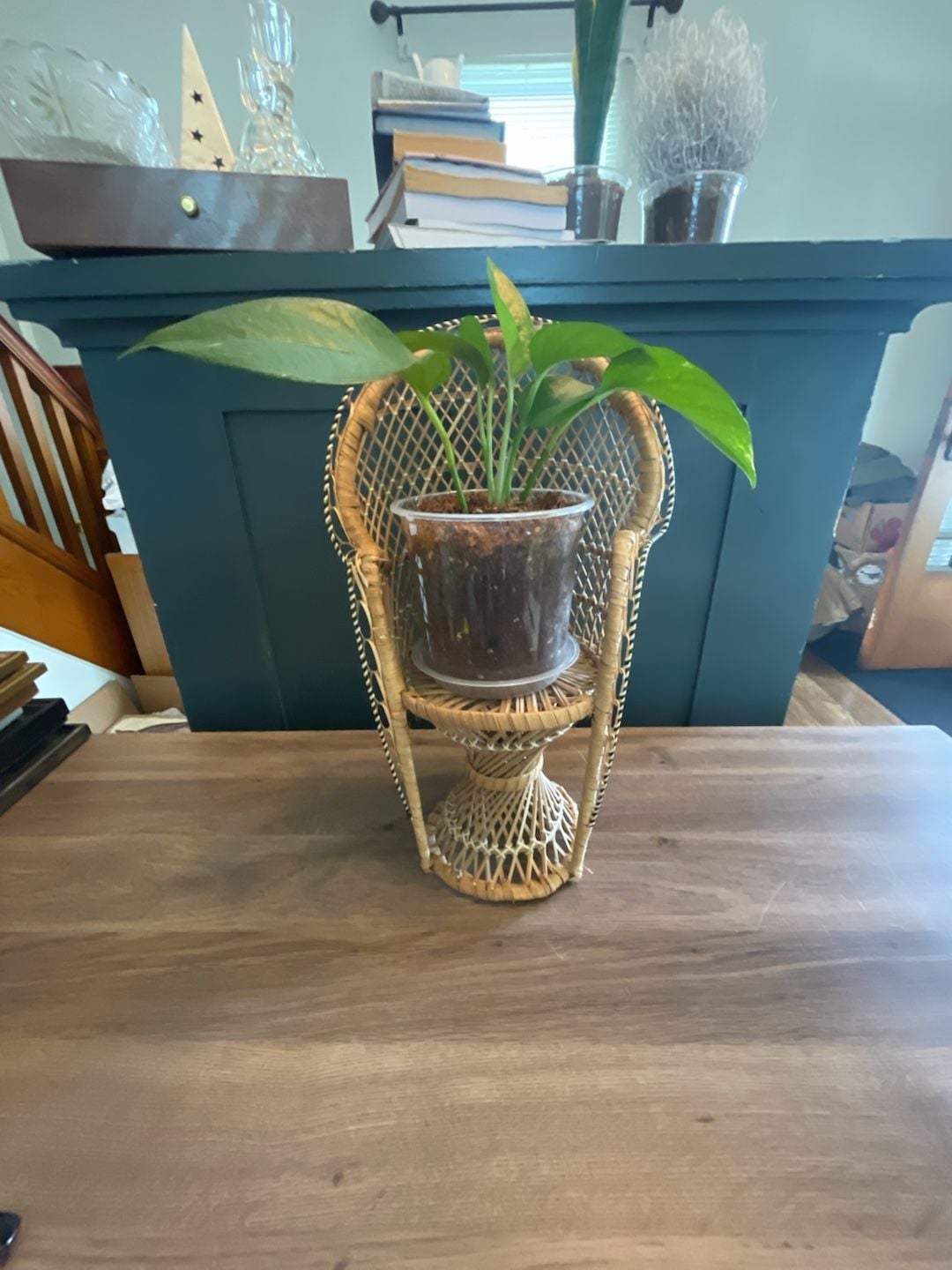 Vintage Boho Wicker Rattan Mini Peacock Chair Plant Stand, Doll Chair 6