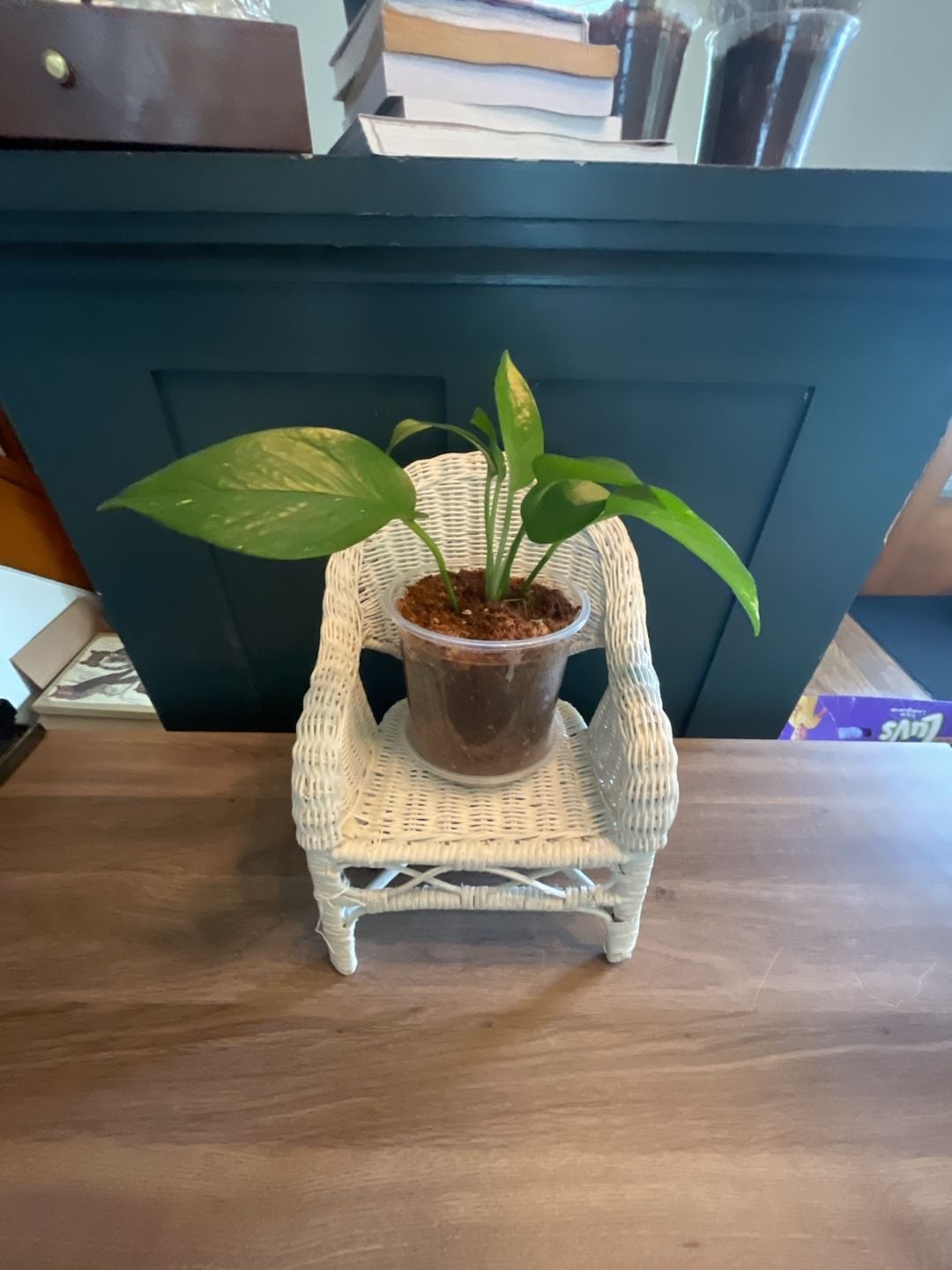 White Wicker Miniature Chair Plant Stand, Doll Display 1