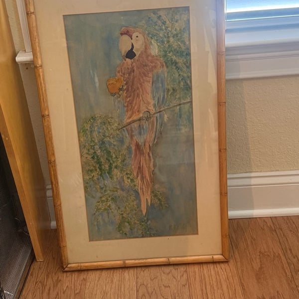 Vintage Watercolor Painting of Macaw Parrot in Bamboo Frame 28.5x17 Inches