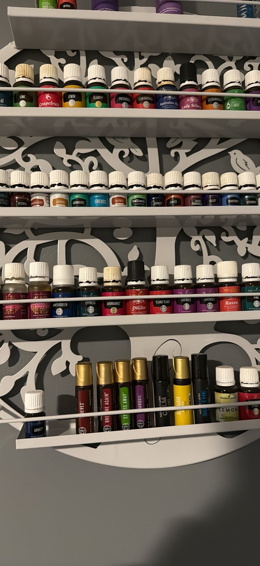 Young Living Essential Oils, used and new. 4