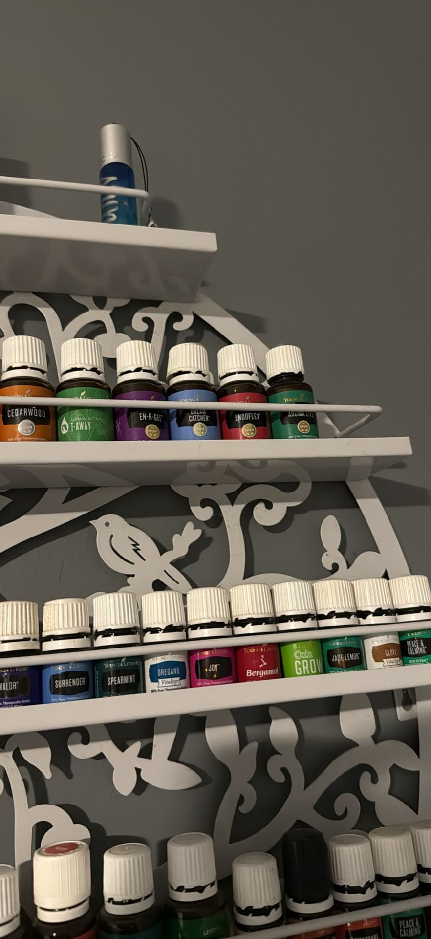Young Living Essential Oils, used and new. 5