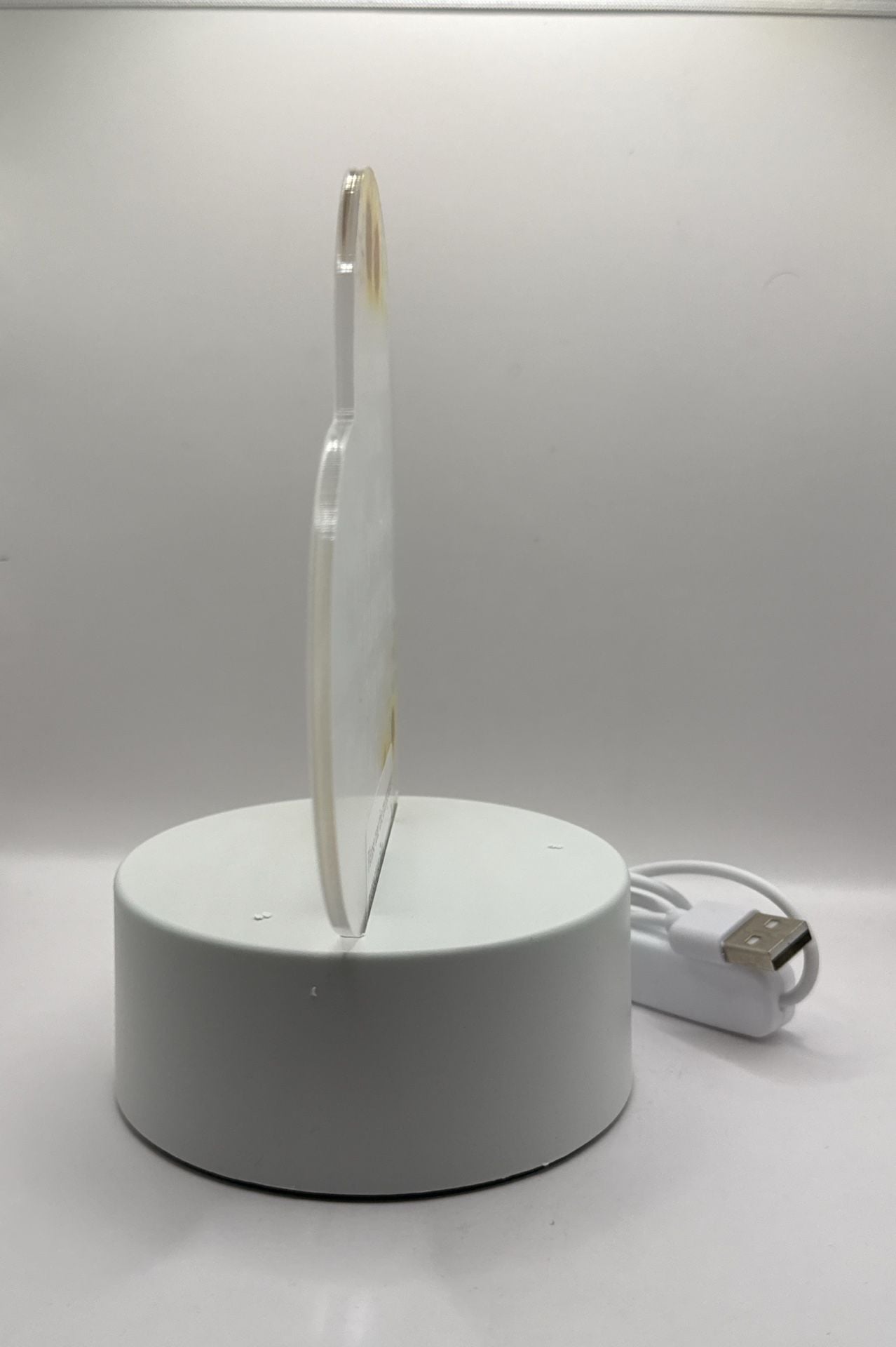 Sunflower Friendship Night Light Acrylic Plaque USB Desk Lamp Gift 4