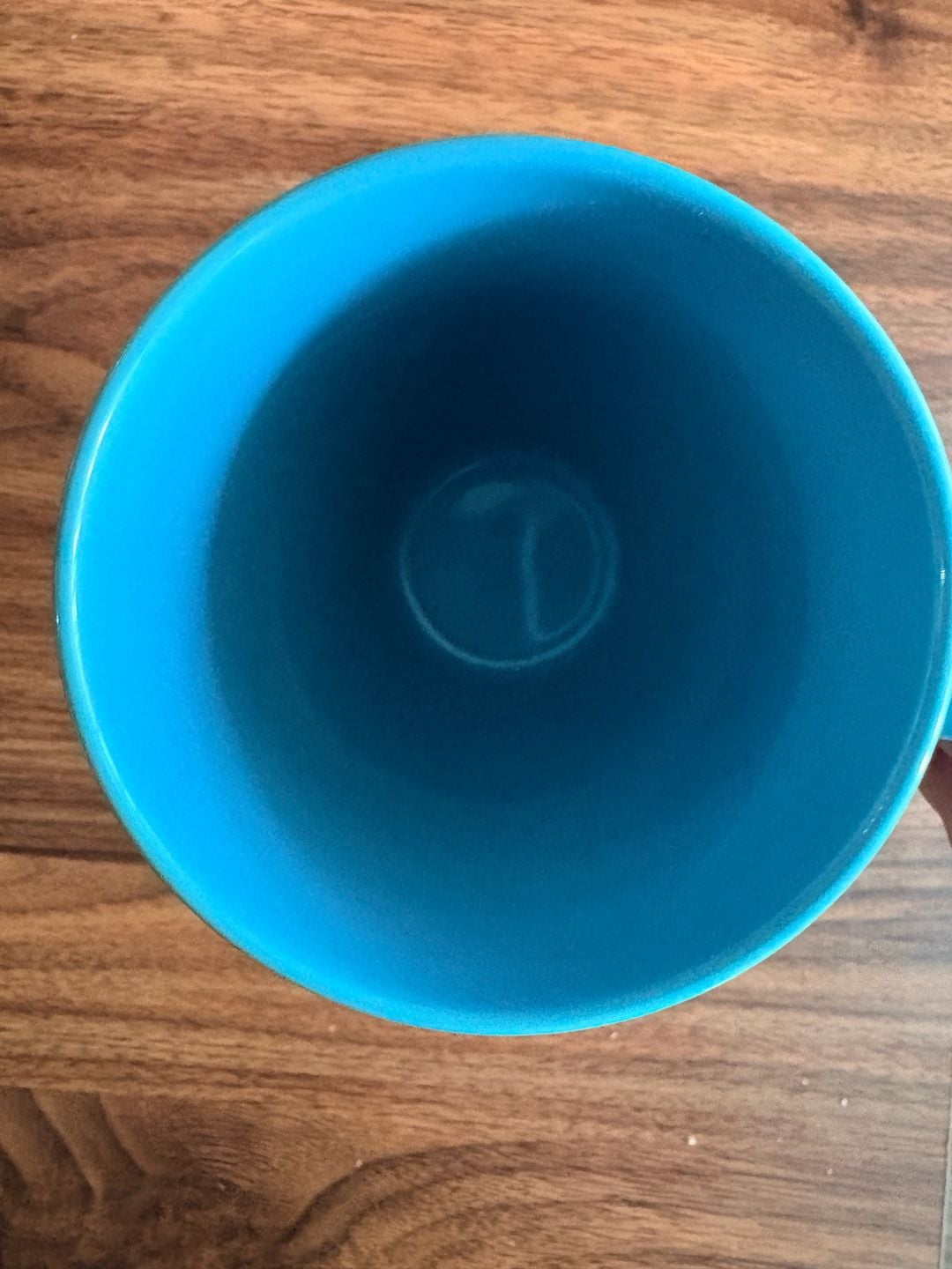 Disney Parks The Little Mermaid Ariel Part Of Your World Mug 7
