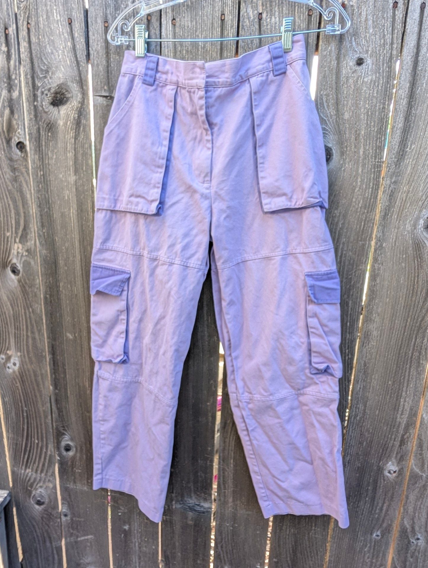The Ragged Priest Purple Cargo Pants Size S Wide Leg 2