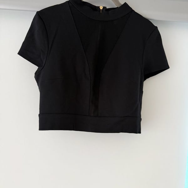 Express Black Mesh Panel Short Sleeve Crop Top with Back Zipper