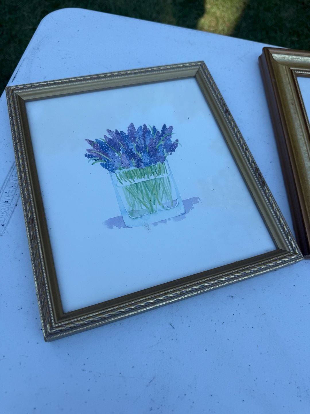 Sandy Clough Framed Botanical Art Prints Set of 4 Gold Frames 4