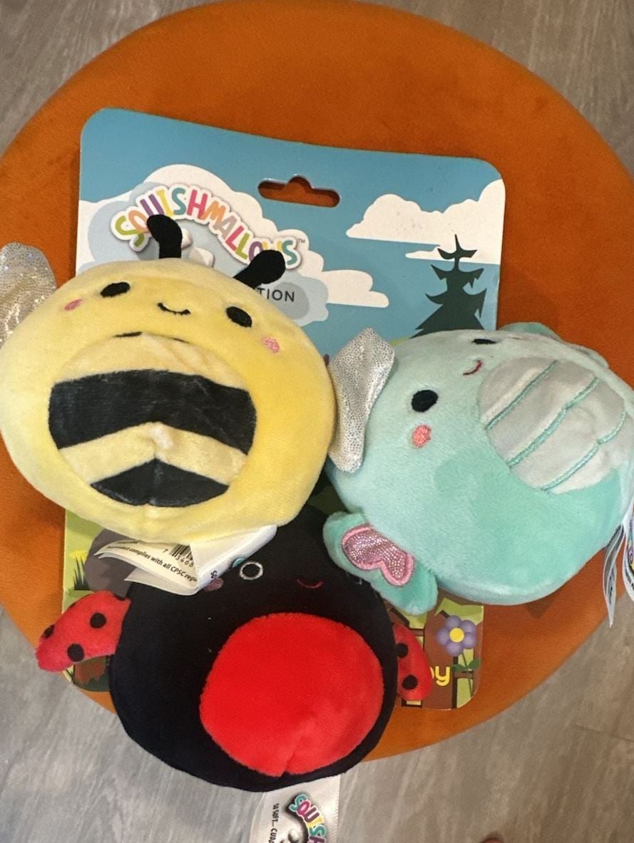 Squishmallows Bug Squishmallow Set 3.5" with Squeaker 3 Assorted 2