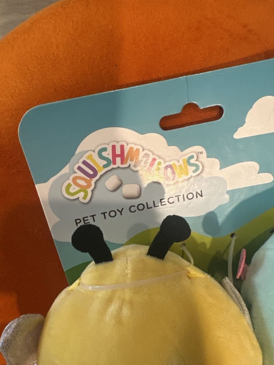Squishmallows Bug Squishmallow Set 3.5" with Squeaker 3 Assorted 4