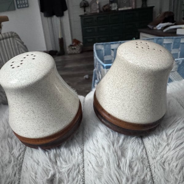 Denby Potters Wheel Salt And Pepper Shakers Set