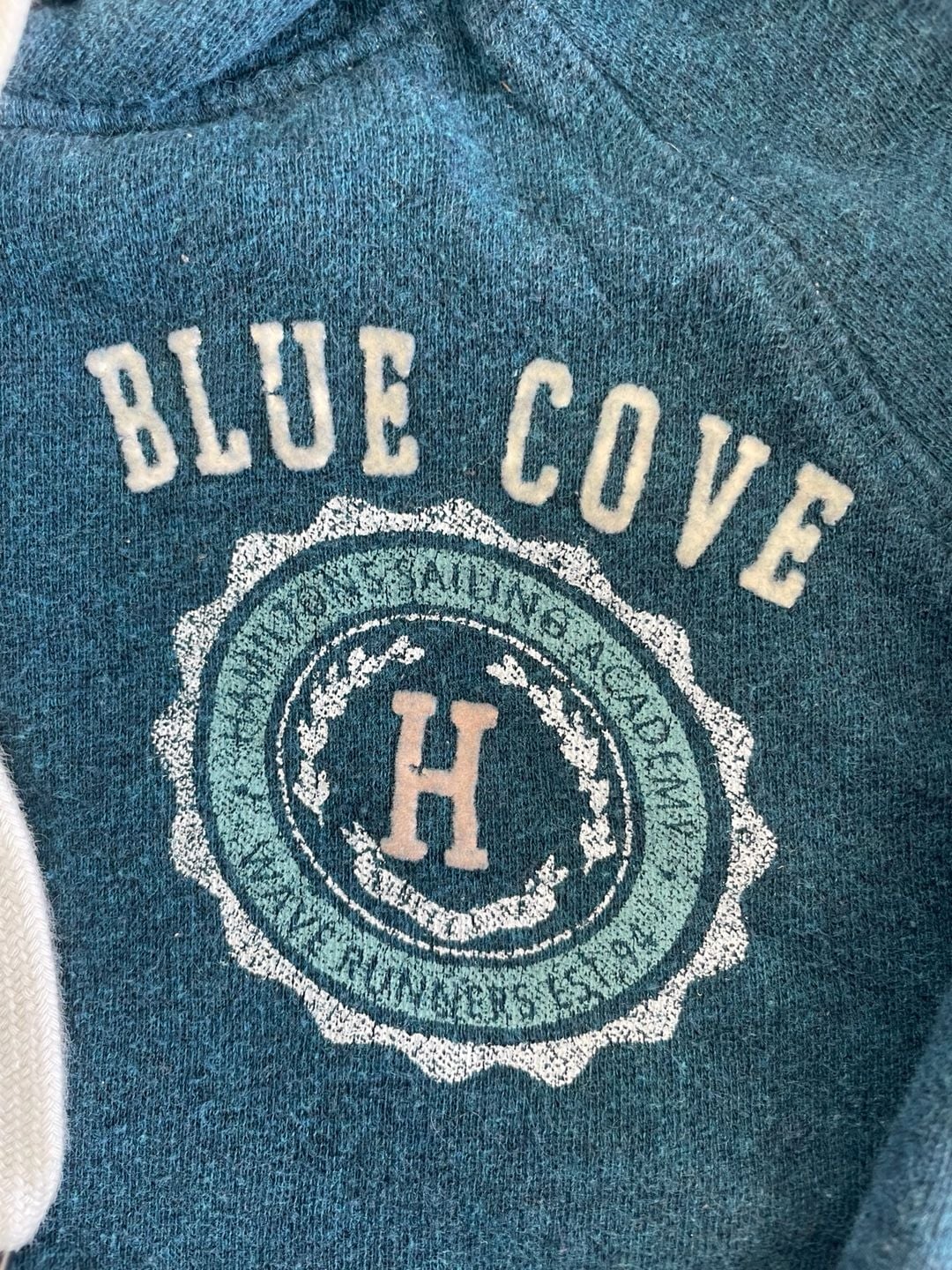 Label of Graded Goods Blue Cove Hamilton Sailing Academy Hoodie Size S Blue 4