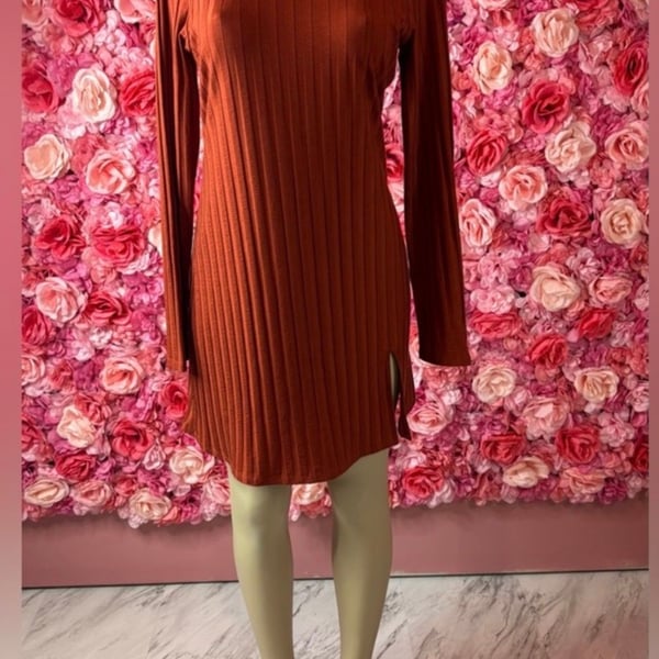 Bold Reformation Burnt Orange Ribbed Knit Dress