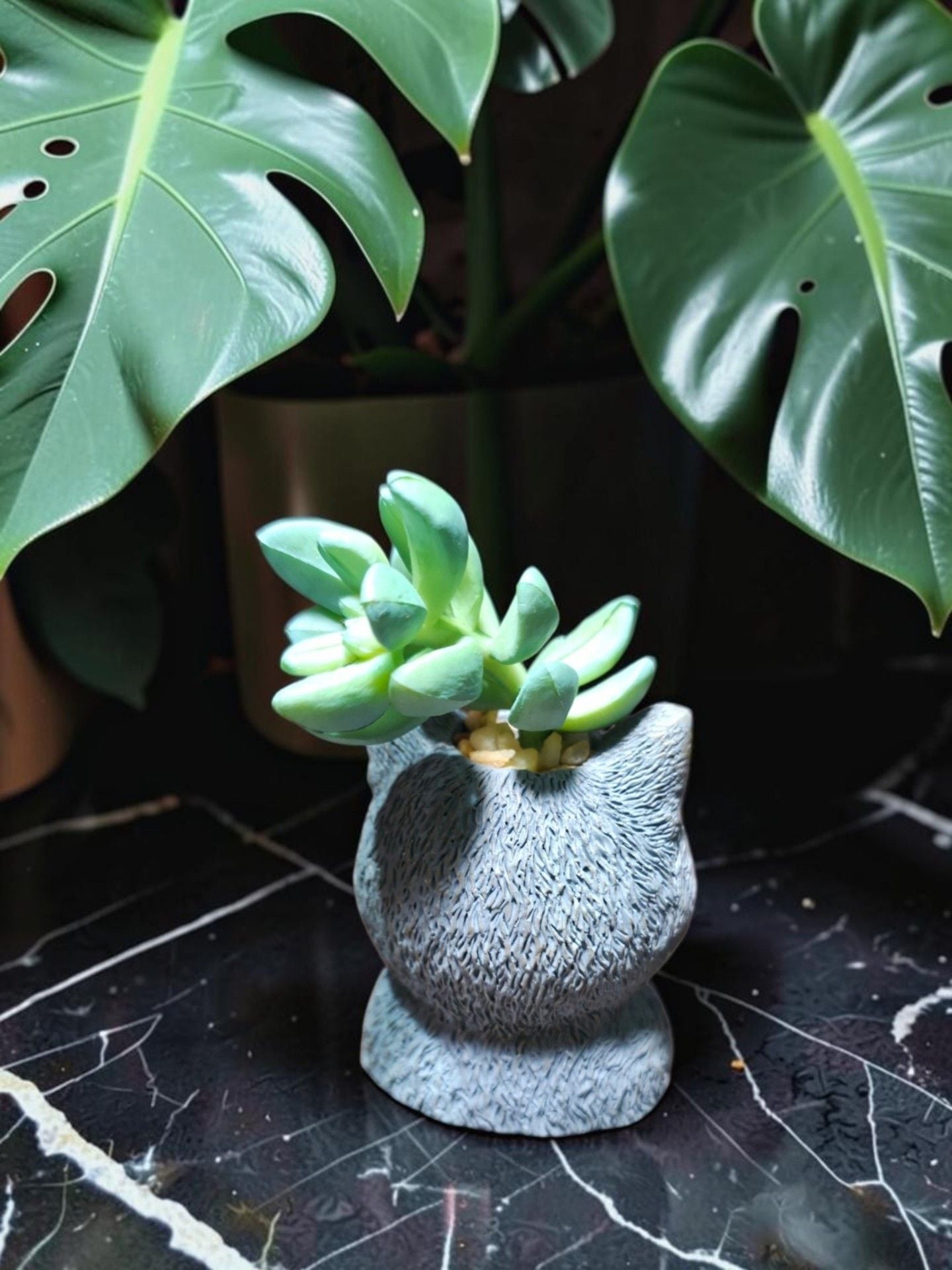 The Bradford Exchange Bruno Purr-fect Planters Sculpture 3