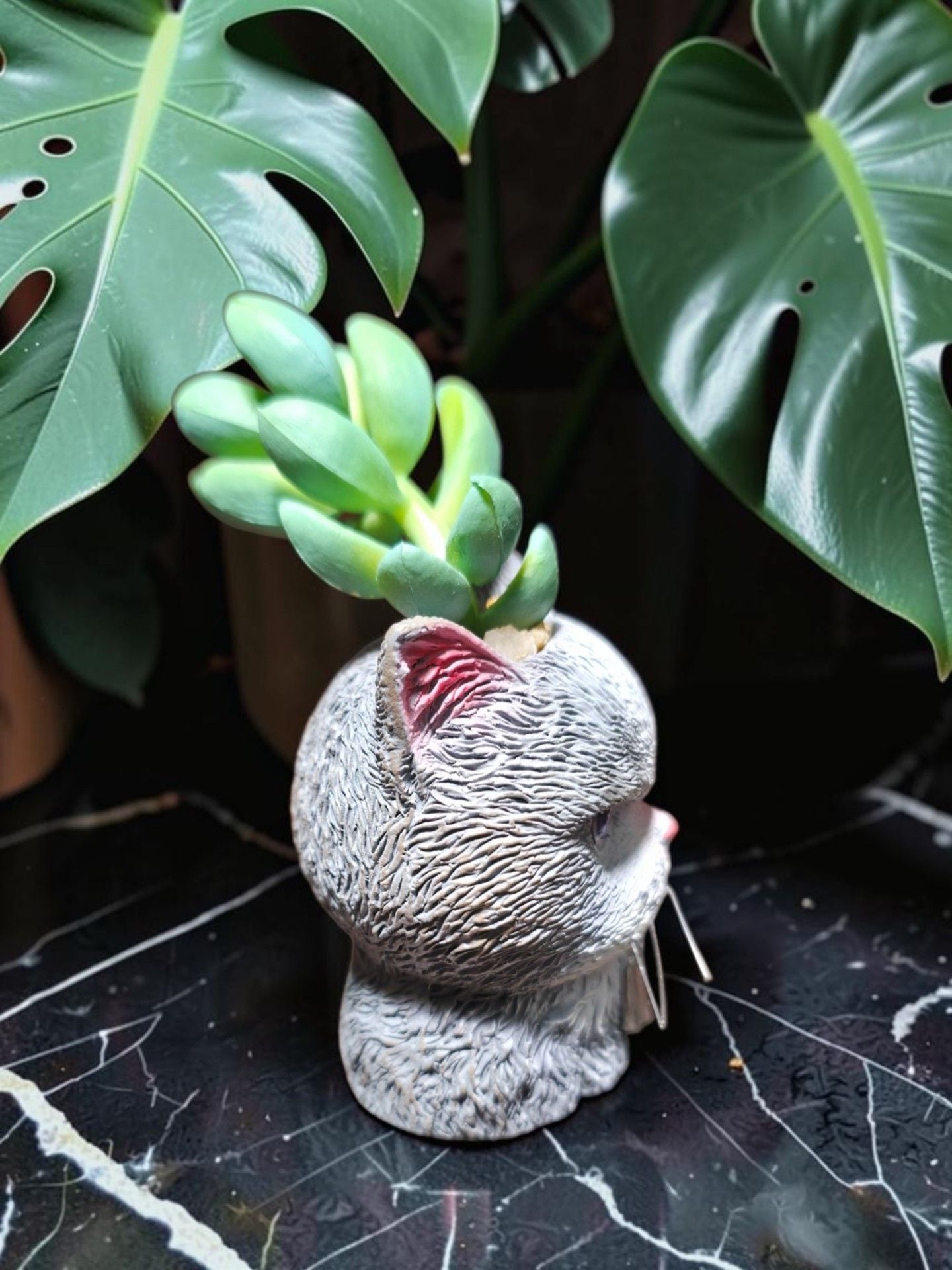 The Bradford Exchange Bruno Purr-fect Planters Sculpture 4