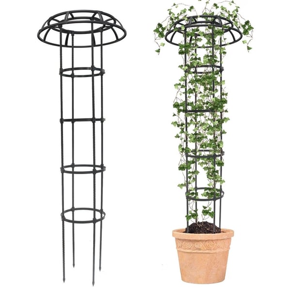 2 Pack - Plant Trellis Support for Potted Plants Climbing  65 Inch