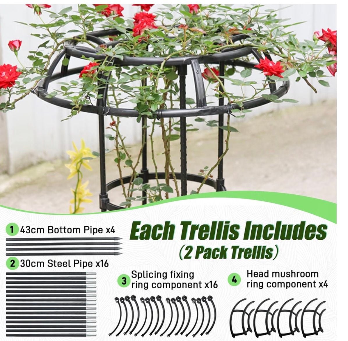 2 Pack - Plant Trellis Support for Potted Plants Climbing 65 Inch 4
