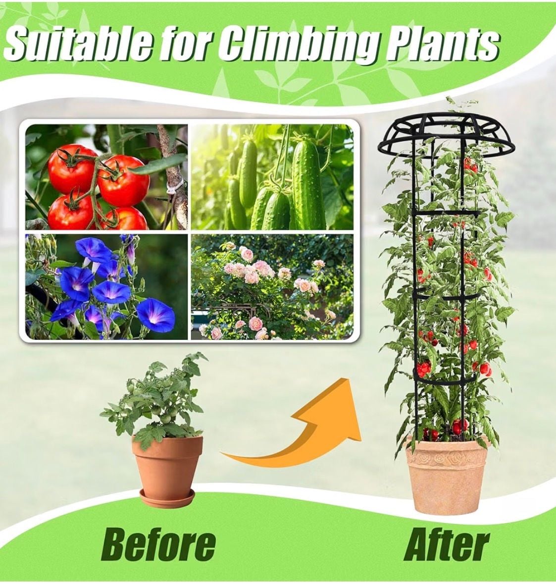 2 Pack - Plant Trellis Support for Potted Plants Climbing 65 Inch 6