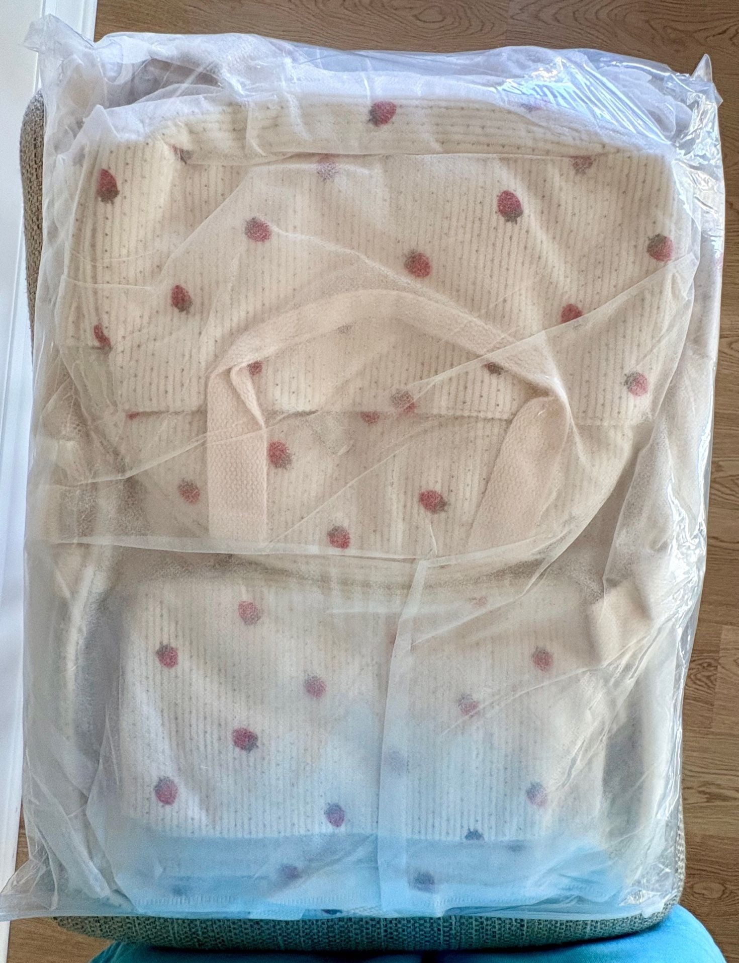 Hidds Clear Backpack Set with Lunch Bag and Pencil Case Beige Strawberry Large 9
