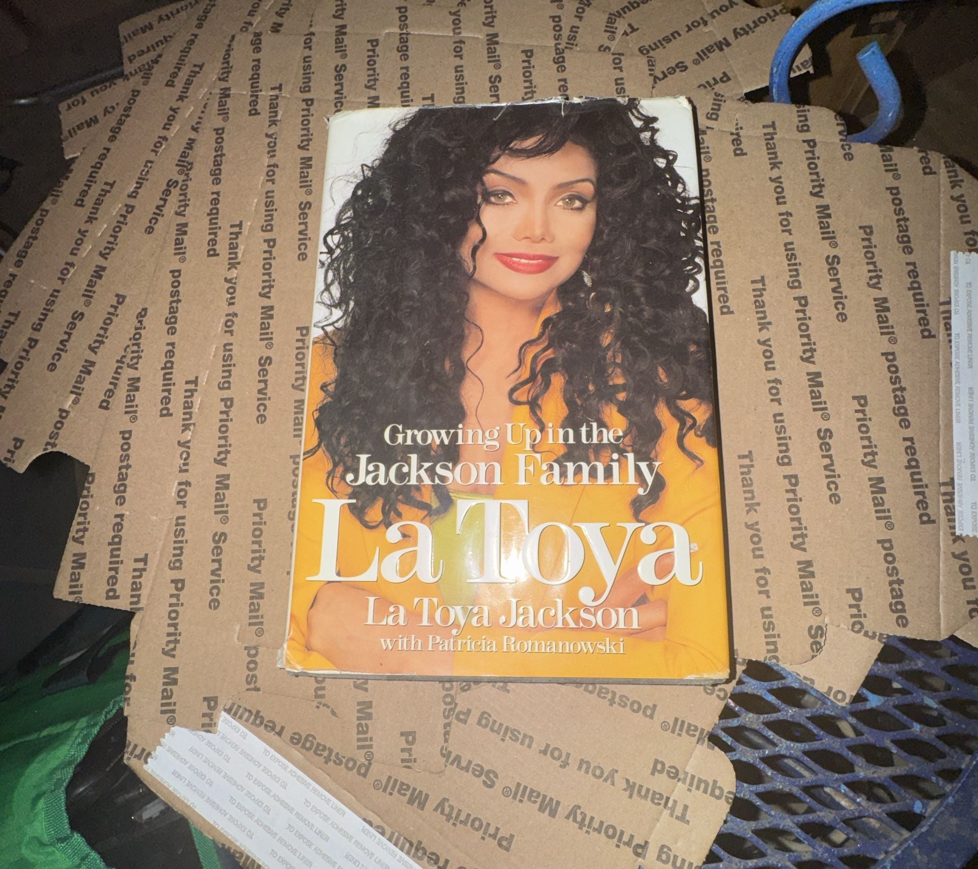 La Toya Jackson Growing Up in the Jackson Family Book 1