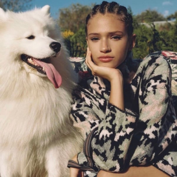 Zara Knit dress