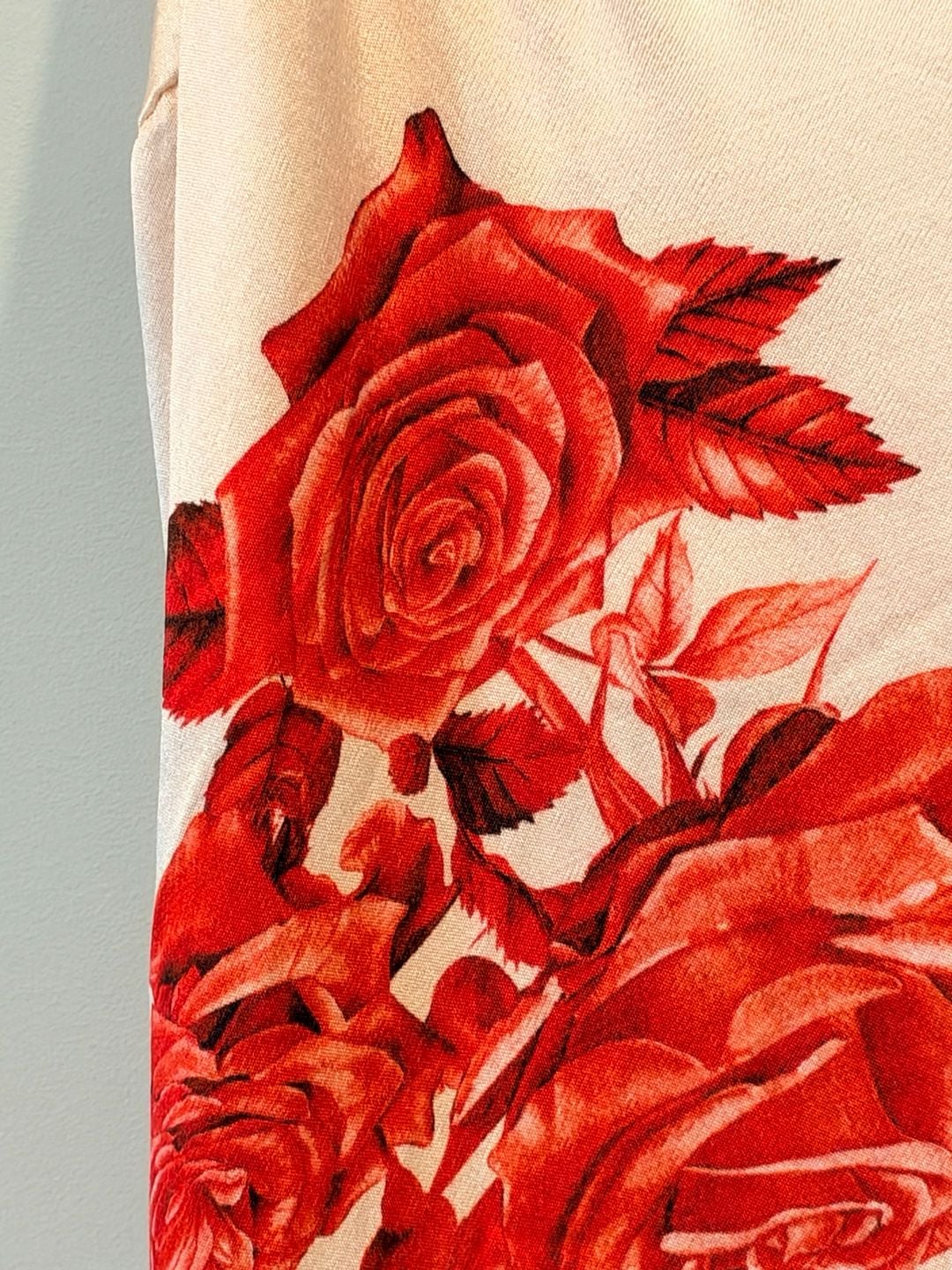 Meshki Rosalie Maxi Dress Size XXS Red Rose Print 5