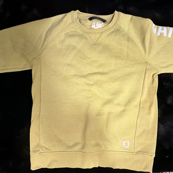 Carhartt Relaxed Fit Midweight Crewneck Block Logo Sleeve Graphic Sweatshirt