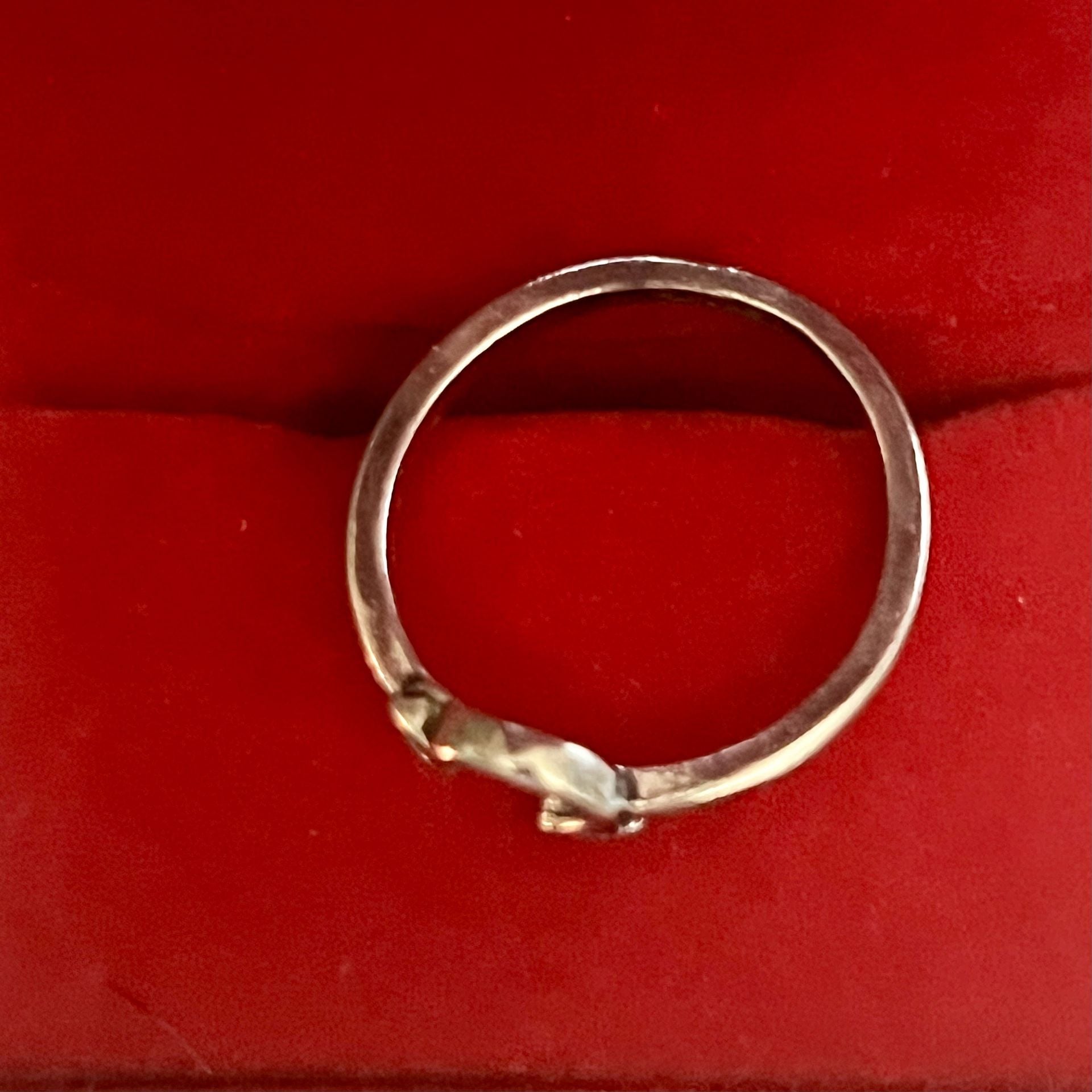 Zodiac Ring Leo Astrology Symbol Titanium Steel Ting Size 5 5