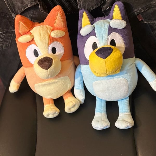 Bluey and Bingo Plush Toys Set of 2