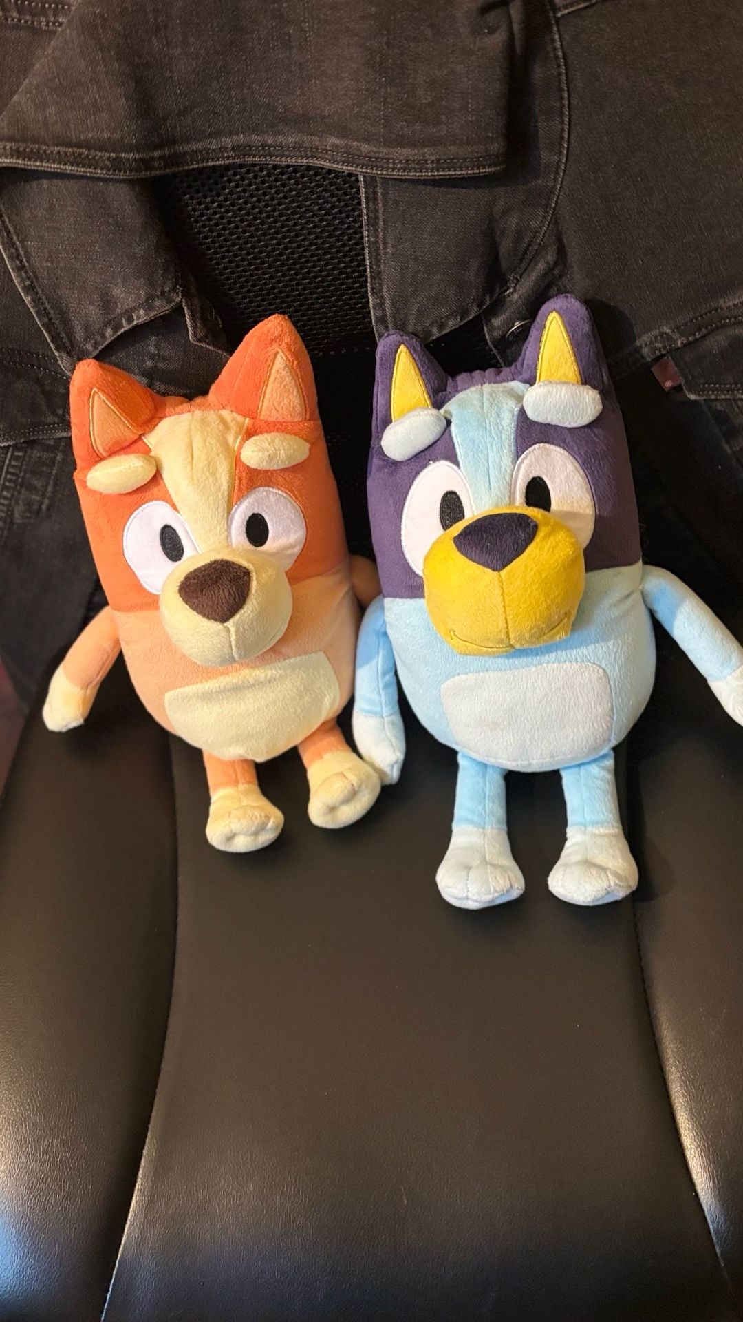 Bluey and Bingo Plush Toys Set of 2 9