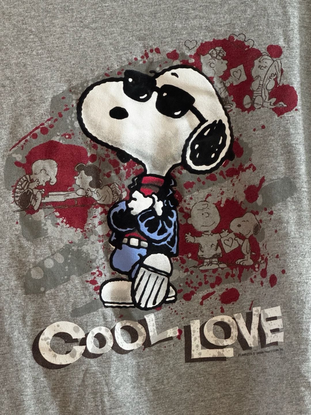 Vintage Peanuts Snoopy Joe Cool T-Shirt XL Gray Cool Love Y2K Velvety Graphic 3