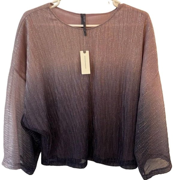 Anthropologie Serena Plisse Metallic Ombre Blouse Size S
