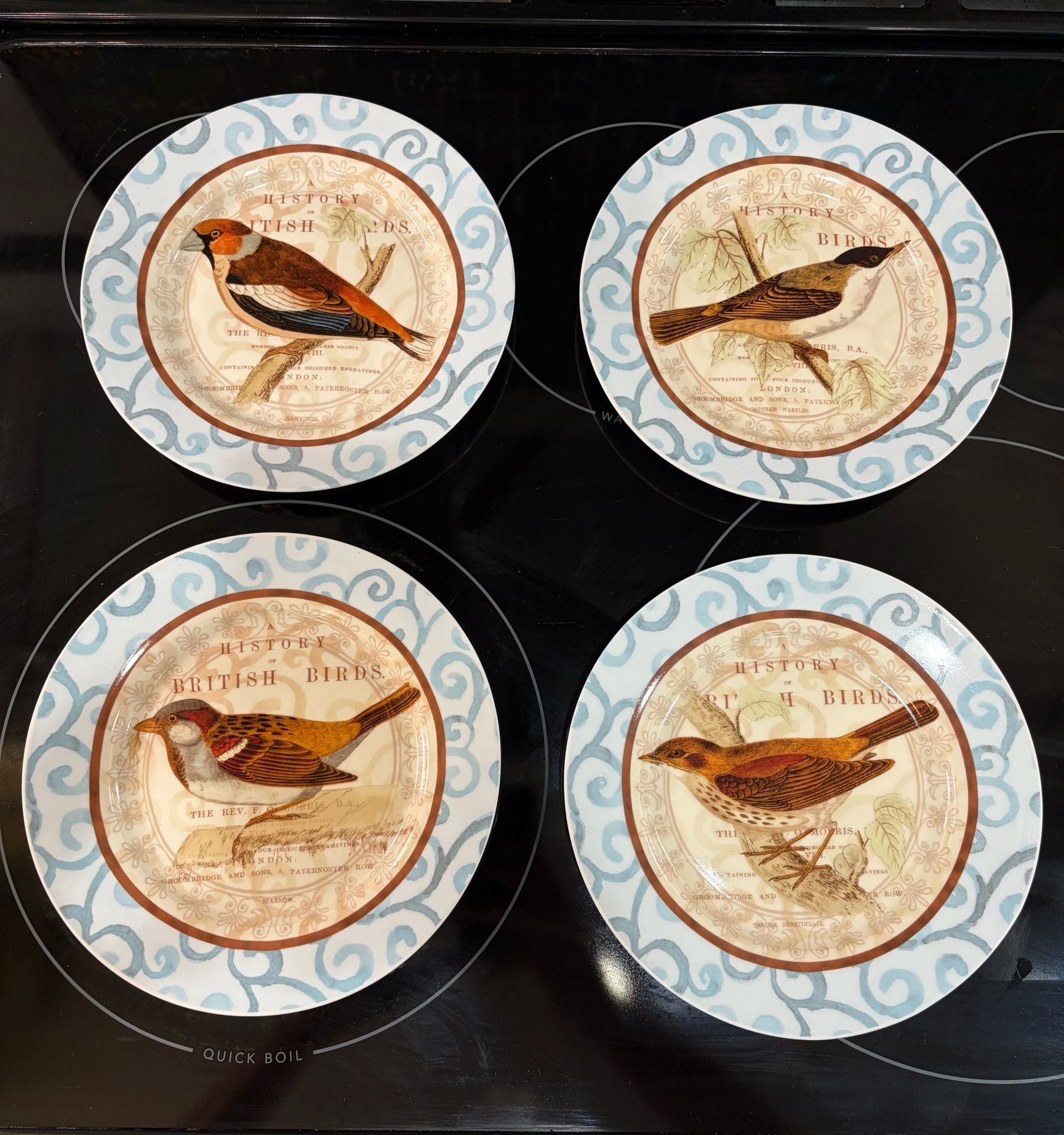 Prima Donna History Of British Birds Salad Plates Set Of 4 1