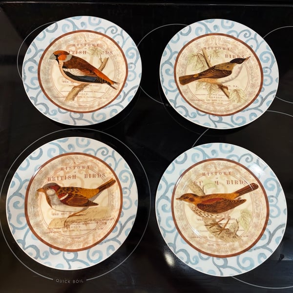 Prima Donna History Of British Birds Salad Plates Set Of 4