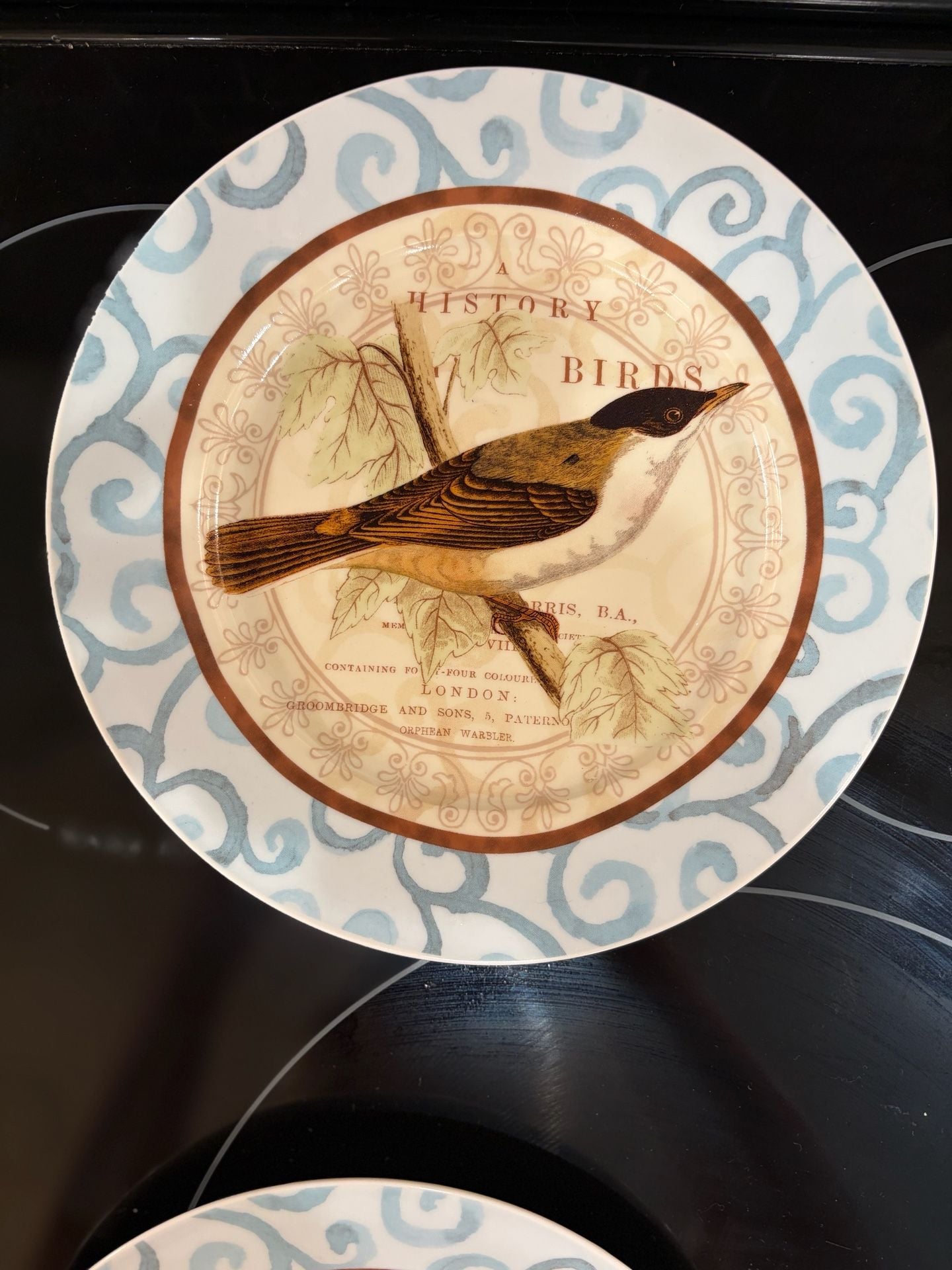 Prima Donna History Of British Birds Salad Plates Set Of 4 2