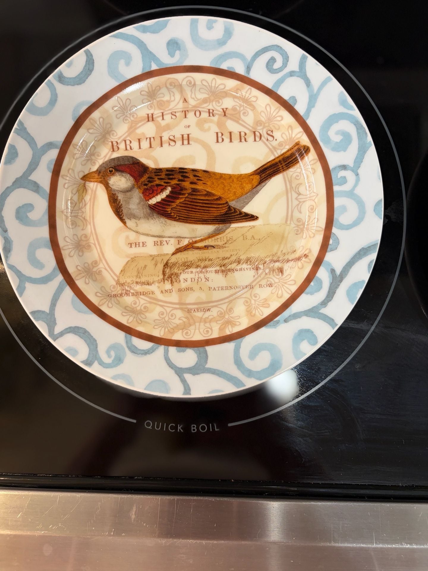Prima Donna History Of British Birds Salad Plates Set Of 4 3