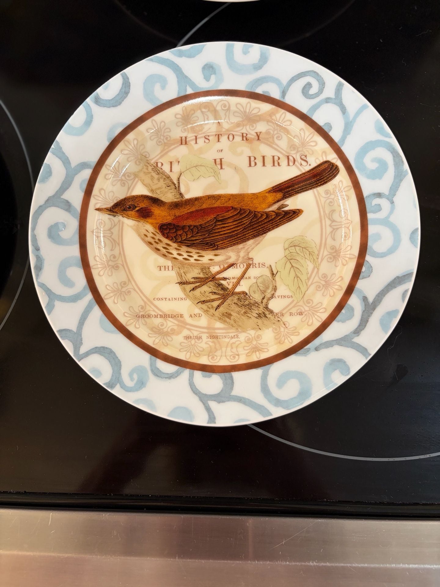 Prima Donna History Of British Birds Salad Plates Set Of 4 4