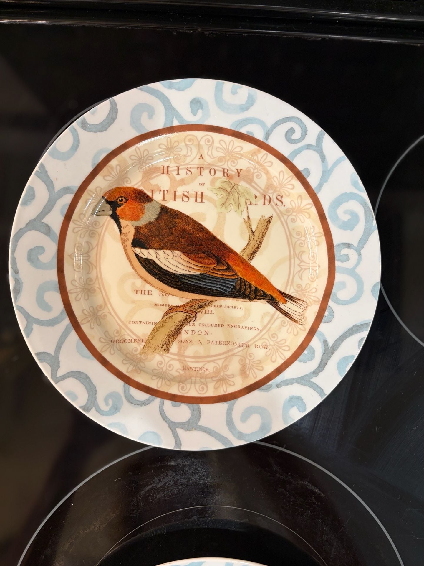 Prima Donna History Of British Birds Salad Plates Set Of 4 5