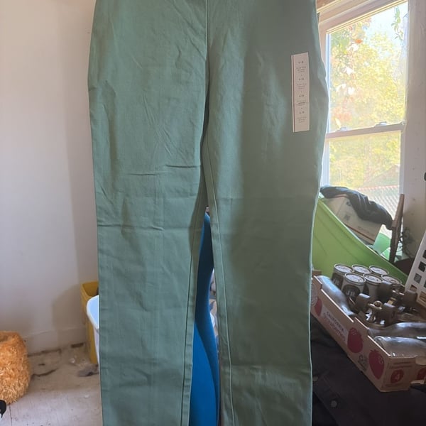 A New Day Skinny Ankle Pants Size 4R Green Stretch